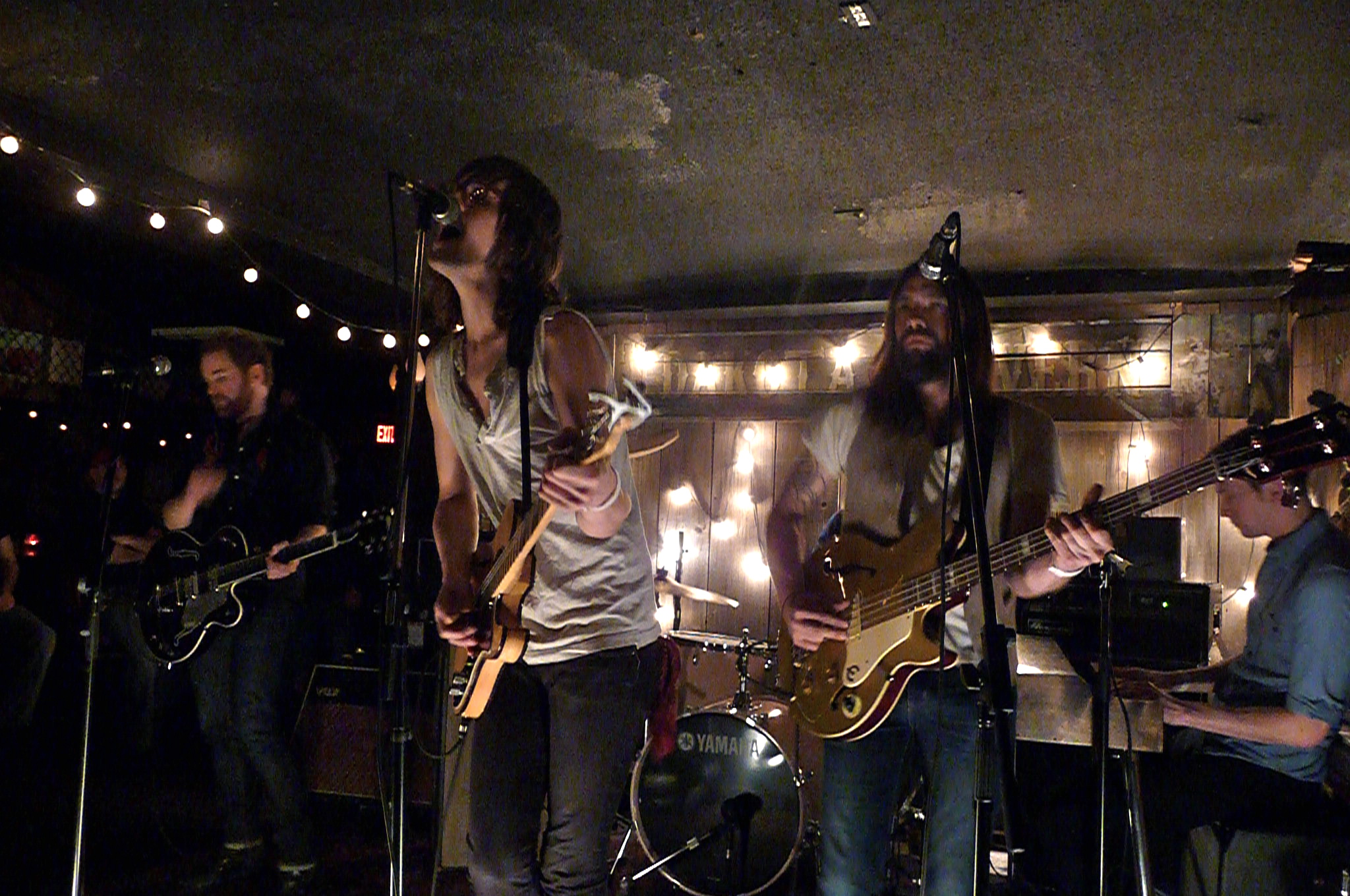 The Wildbirds 